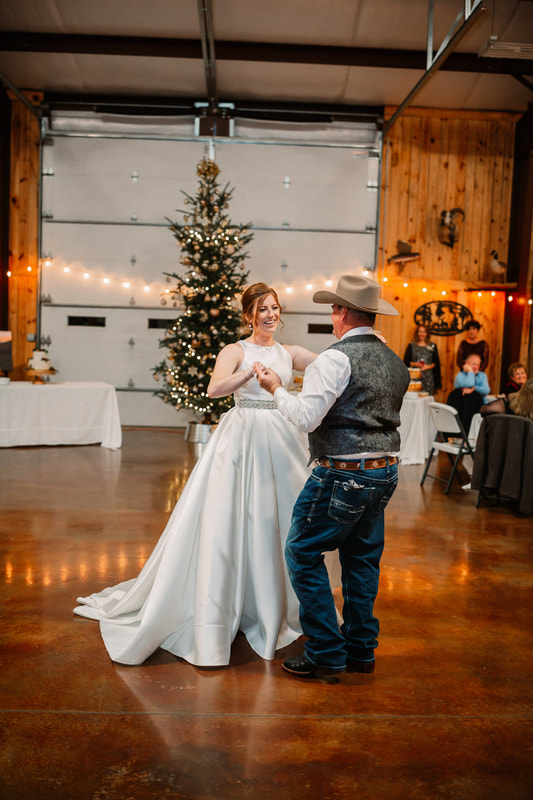 Father and daughter wedding dance